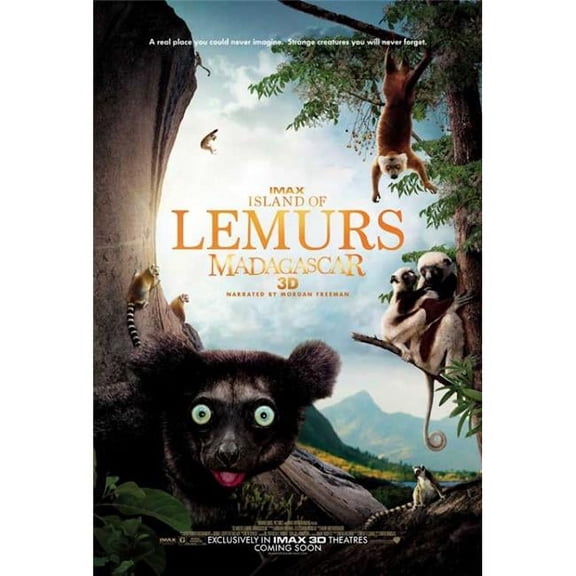 Posterazzi  Island of Lemurs-Madagascar Imax 3D Movie Poster - 27 x 40 in.