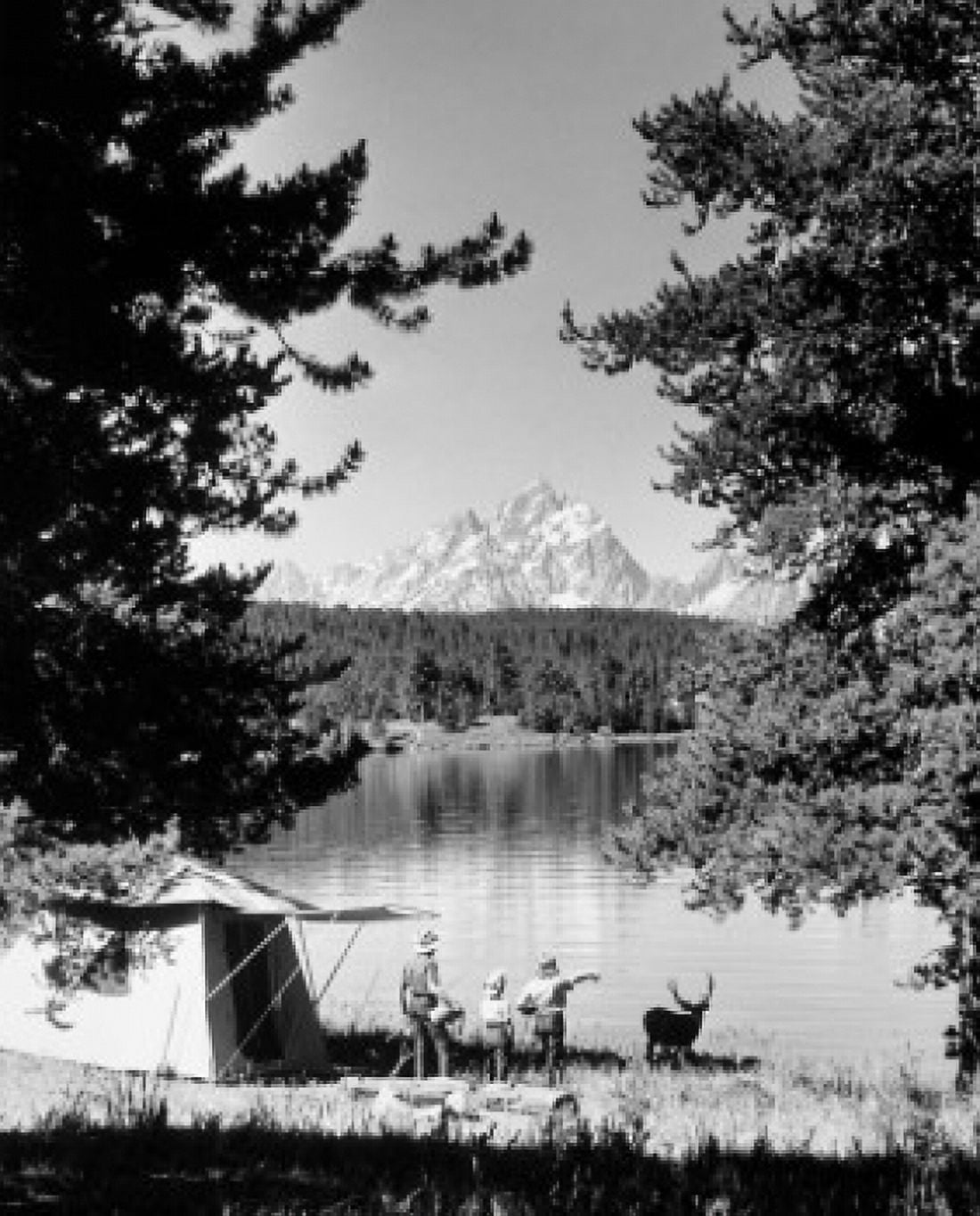Posterazzi Jackson Lake Grand Teton National Park Wyoming USA Canvas Art - (24 x 36)