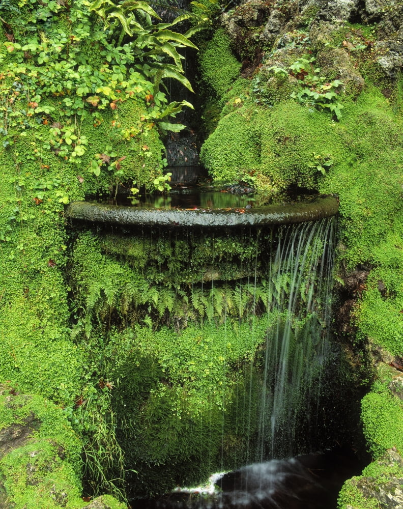 Posterazzi Japanese Garden Powerscourt Gardens Co Wicklow Ireland Fern And Moss Around A Fountain Canvas Art - The Irish Image Collection Design Pics (24 x 32)