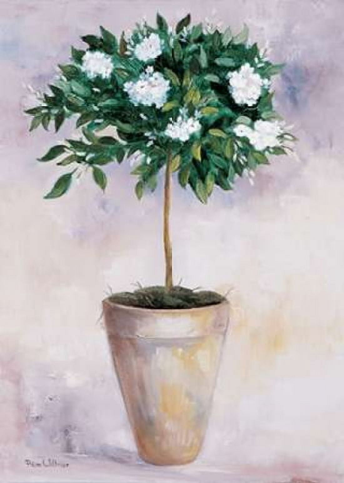 Posterazzi Jasminum Canvas Art - Rian Withaar (20 x 28)
