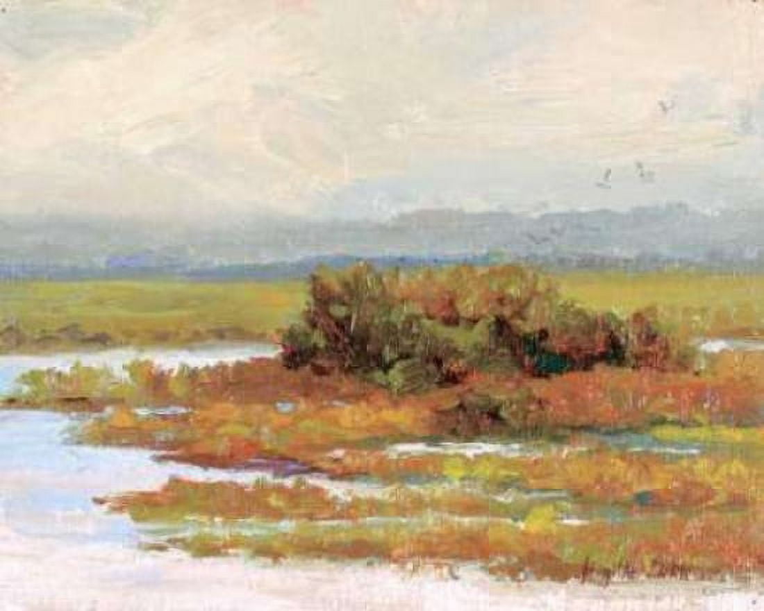 Posterazzi Jewels of the Wetlands Series One Canvas Art - Brigitte Curt (24 x 30)