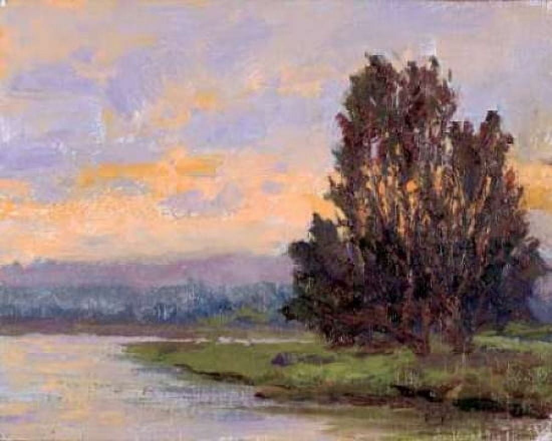Posterazzi Jewels of the Wetlands Series One Canvas Art - Brigitte Curt (24 x 30)