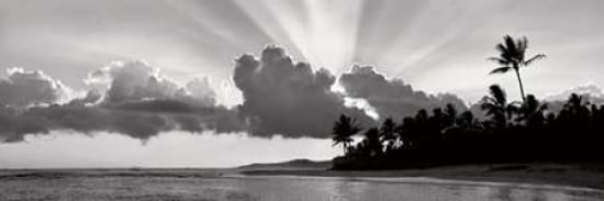 Posterazzi Kauai II Canvas Art - Dennis Frates (12 x 36)