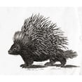 thumbnail image 1 of Posterazzi Ken Welsh 18th Century 17" x 14" Art Print, 1 of 1