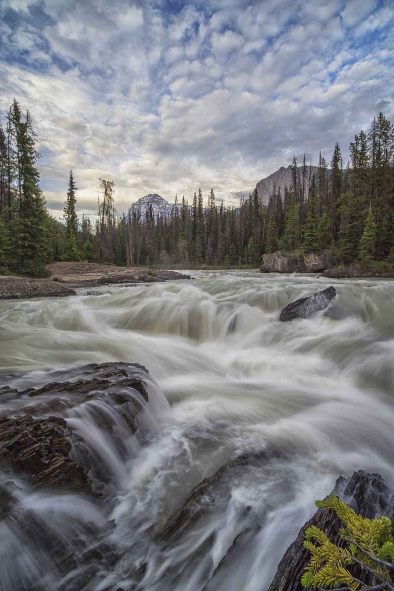 Posterazzi The Kicking Horse River flows over a waterfall before it goes beneath a natural bridge Yoho National Park British Columbia Canada Canvas Art - Robert Postma Design Pics (24 x 38)