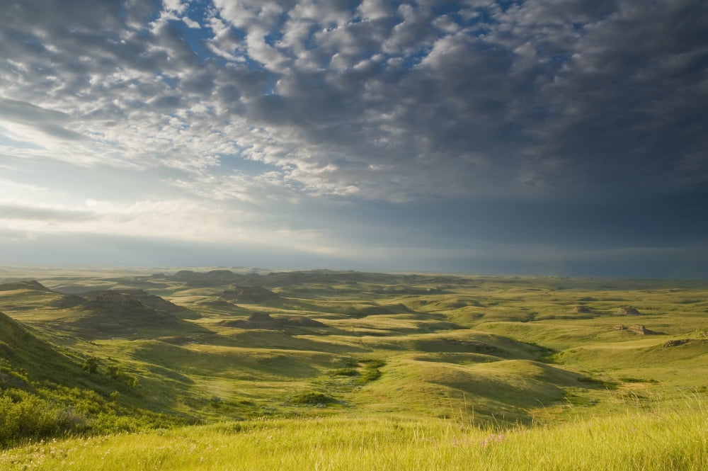 Posterazzi Killdeer Badlands In The East Block Of Grasslands National Park Saskatchewan Canada Canvas Art - Dave Reede Design Pics (36 x 24)