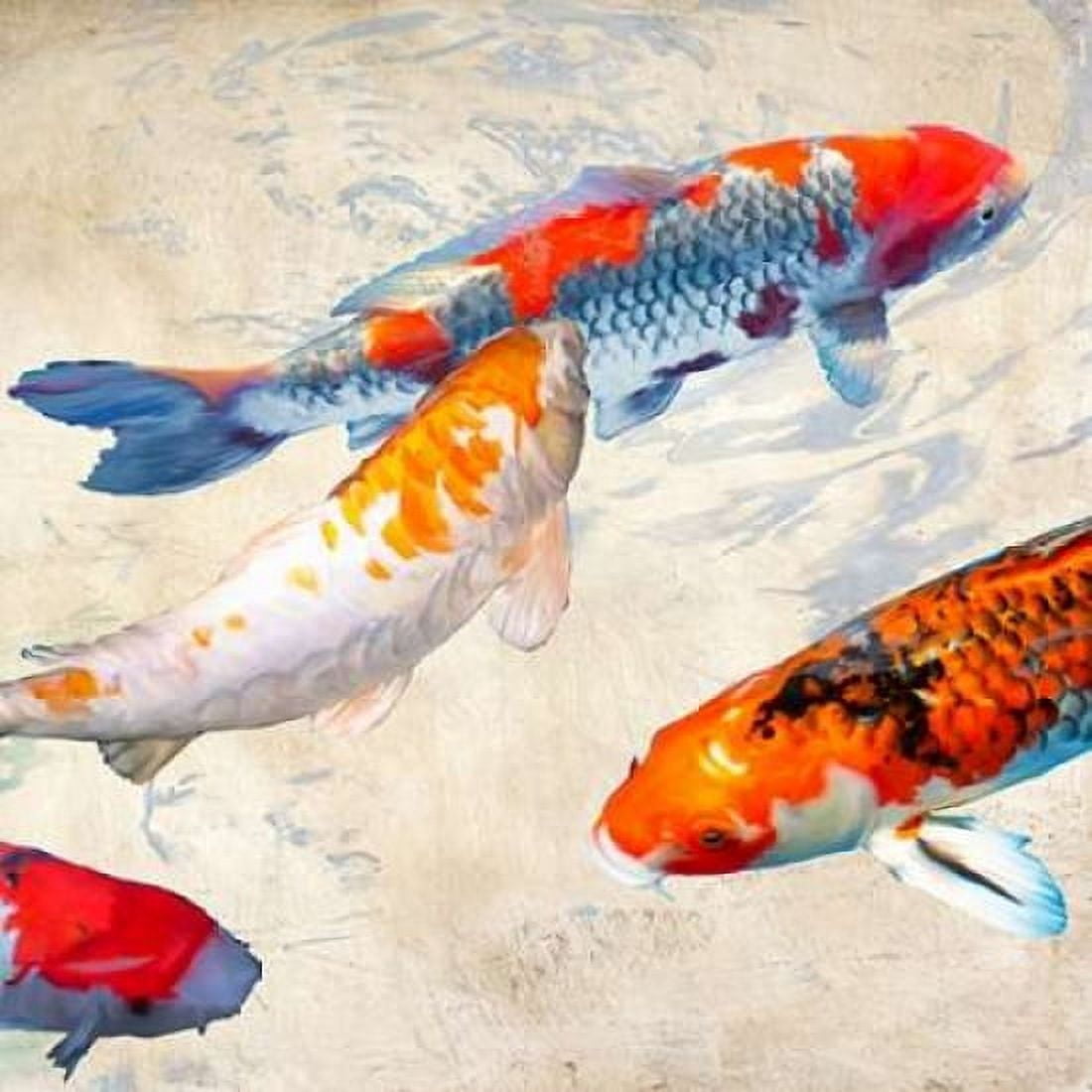Posterazzi Koi II Canvas Art - Teo Rizzardi (24 x 24)