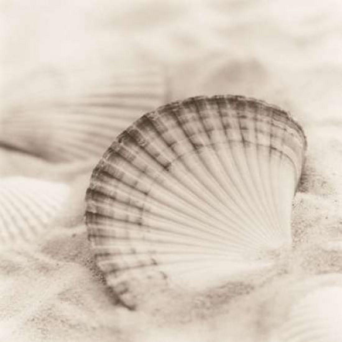 Posterazzi La Mer 3 Canvas Art - Alan Blaustein (24 x 24)
