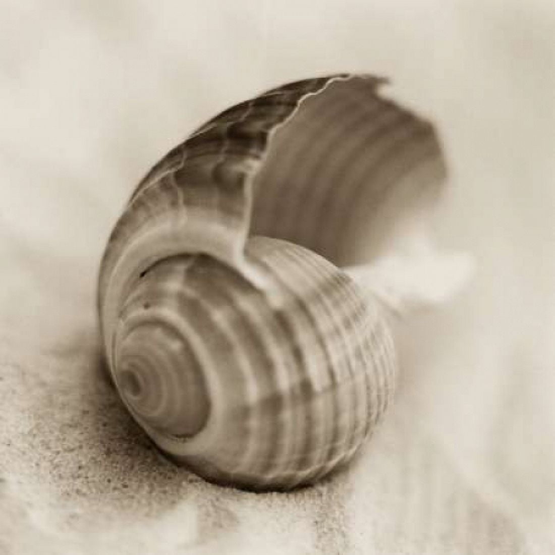 Posterazzi La Playa No3 Canvas Art - Alan Blaustein (24 x 24)