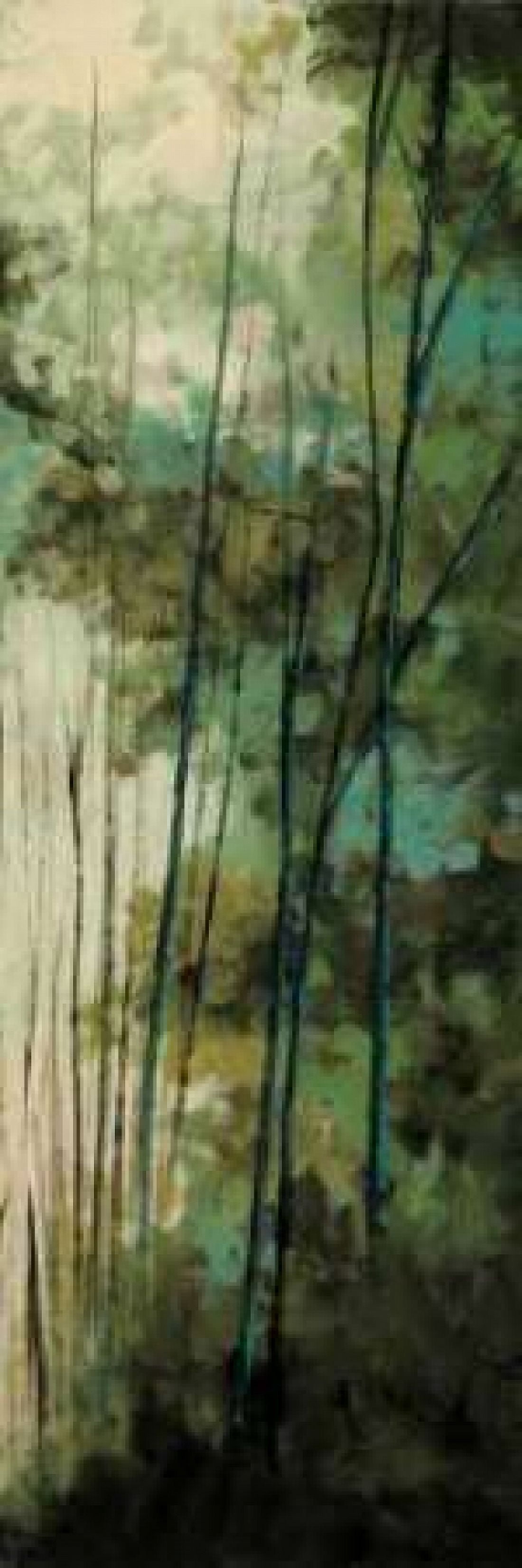 Posterazzi La Senda II Canvas Art - Luis Solis (12 x 36)
