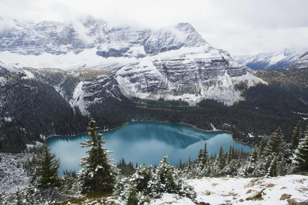 Posterazzi Lake OHara in Yoho National Park British Columbia Canada Canvas Art - Carl Bruemmer Design Pics (38 x 24)