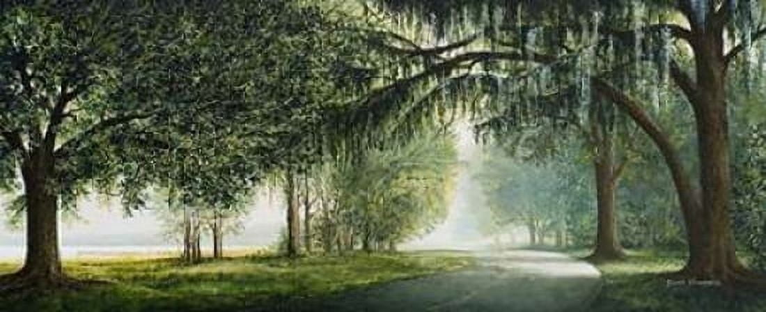 Posterazzi Lake Shore Drive Canvas Art - Bruce Nawrocke (24 x 48)