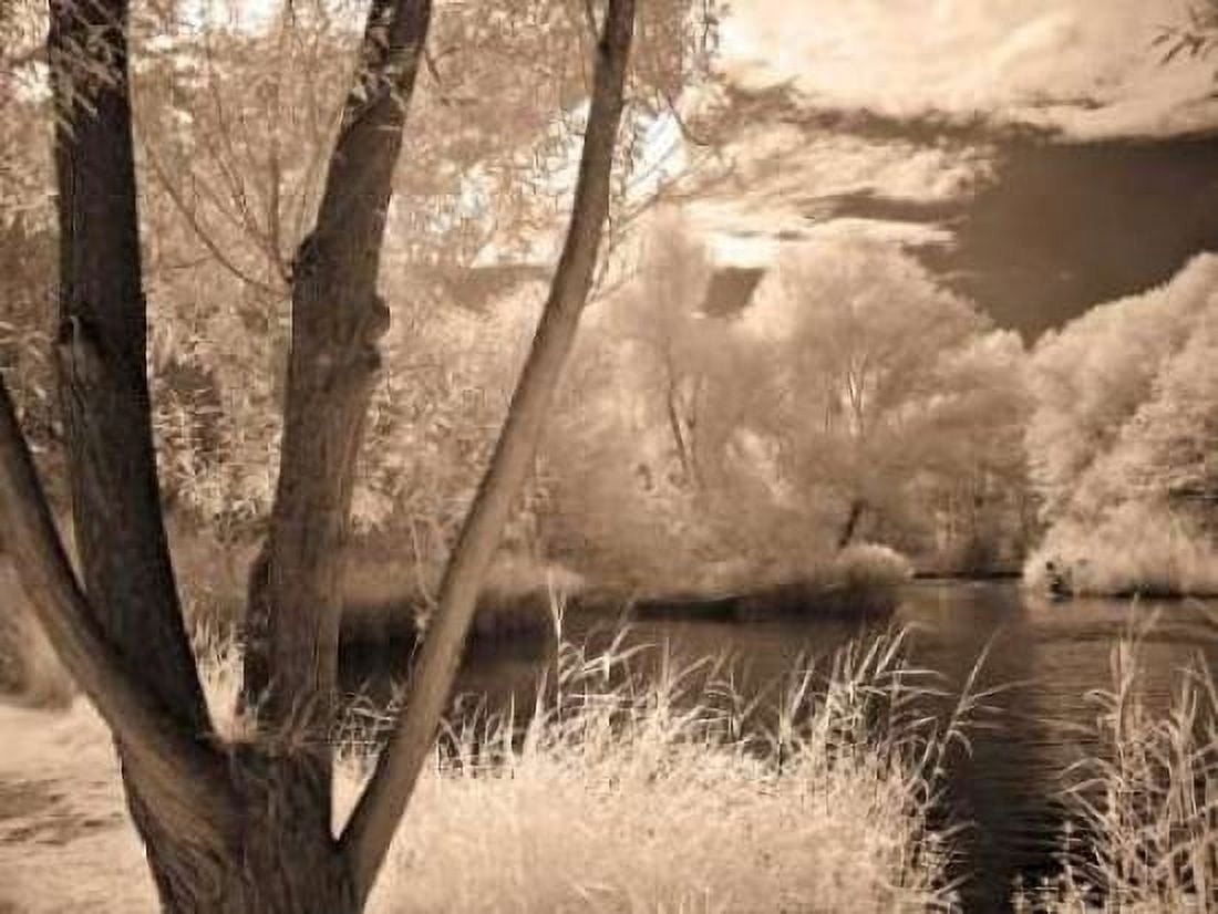 Posterazzi Lakefront View I Canvas Art - Ily Szilagyi (18 x 24)