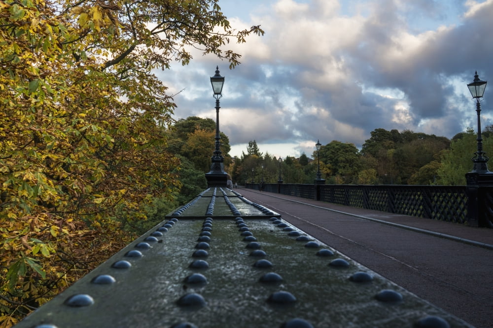 Posterazzi Lamp posts along a street in autumn Newcastle Tyne and Wear England Canvas Art - John Short Design Pics (38 x 24)