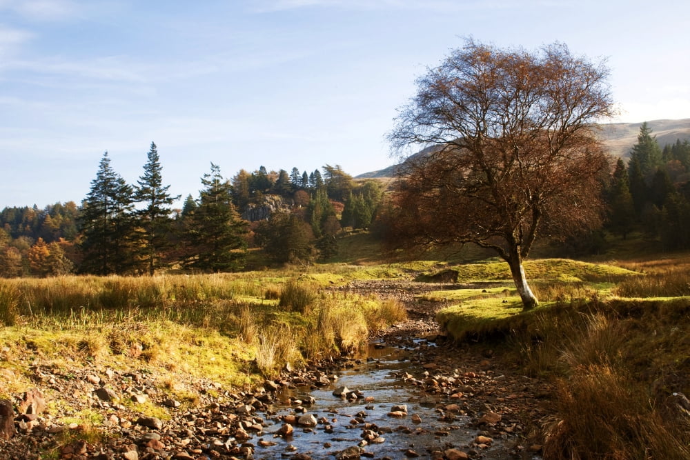 Posterazzi Landscape In Scotland Canvas Art - John Short Design Pics (34 x 22)