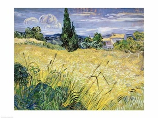 Posterazzi Landscape with Green Corn 1889 Canvas Art - Vincent Van Gogh (36 x 24)