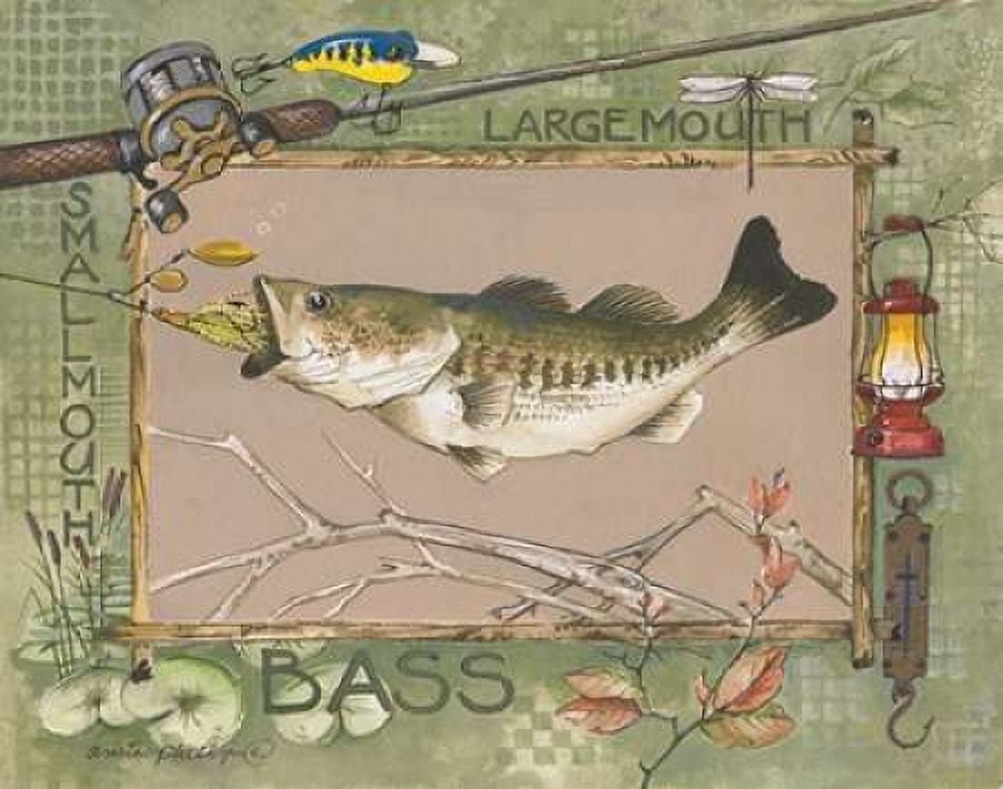 Posterazzi Large Mouth Bass Canvas Art - Anita Phillips (22 x 28)