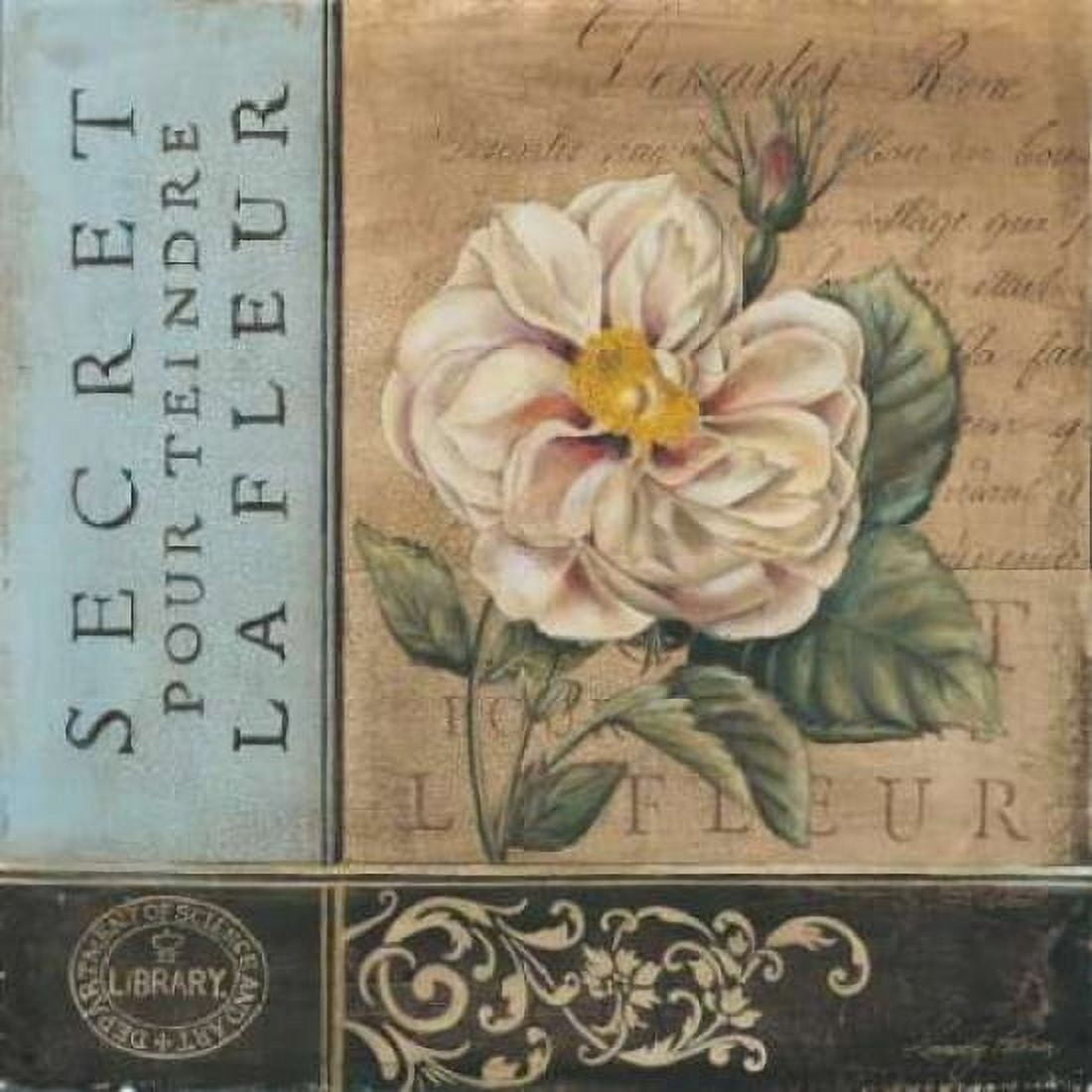 Posterazzi Le Jardin Secret I Canvas Art - Kimberly Poloson (24 x 24)
