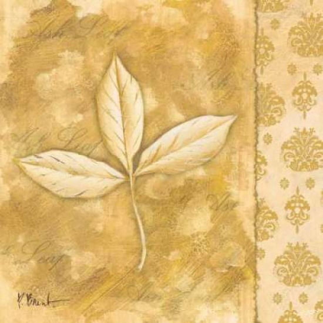 Posterazzi Leaf Oasis IV Canvas Art - Paul Brent (24 x 24)