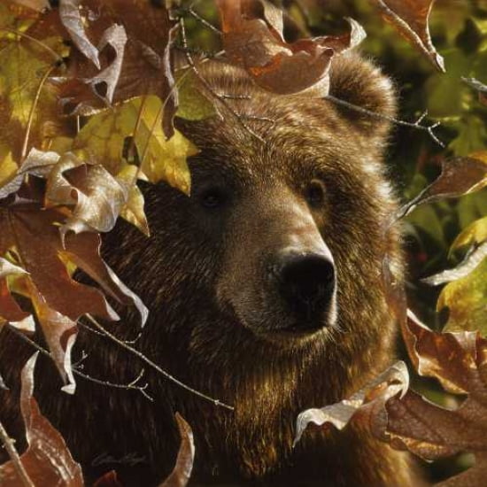 Posterazzi Legend of the Fall Canvas Art - Colin Bogle (24 x 24)