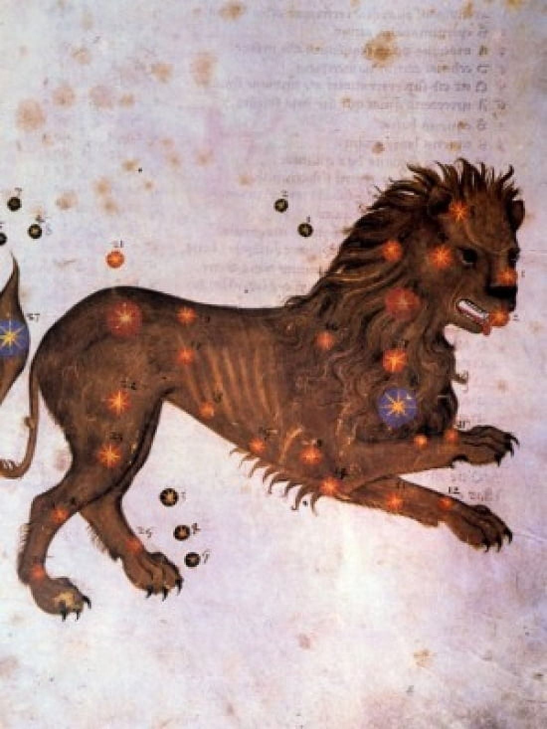 Posterazzi Leo or Lion Signs of the Zodiac by artist unknown (from Atlas Celeste De Strabov) Canvas Art - (24 x 36)