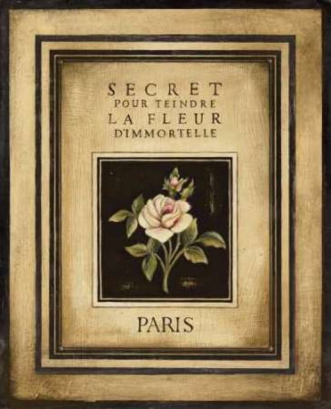 Posterazzi Les Fleurs de Paris I Canvas Art - Kimberly Poloson (20 x 24)