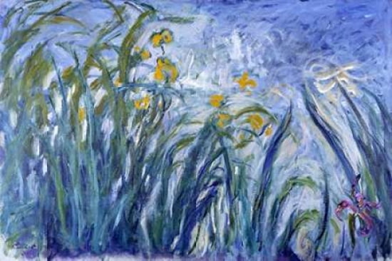Posterazzi Les iris Canvas Art - Claude Monet (20 x 28)