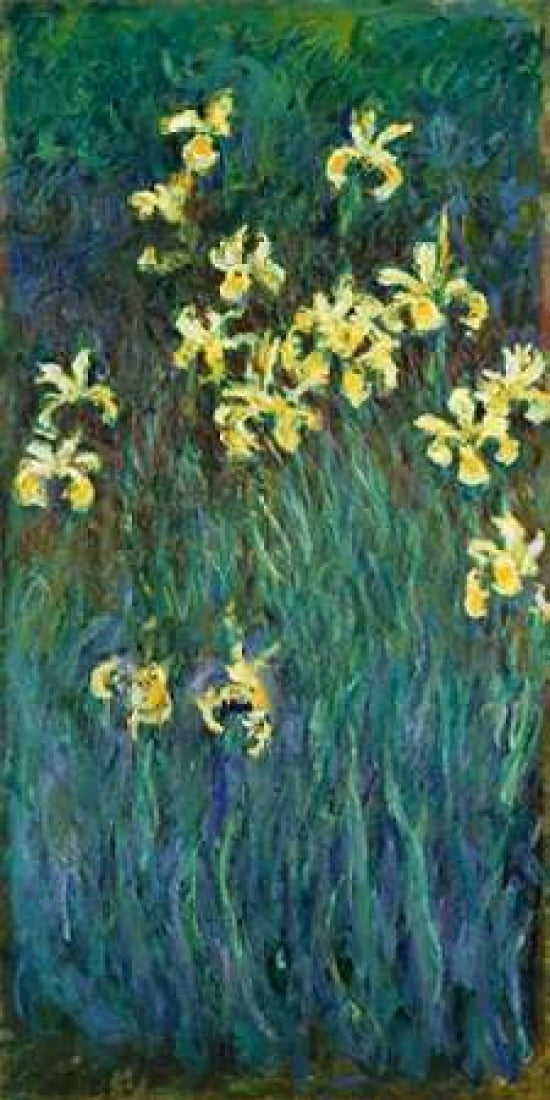 Posterazzi Les iris jaunes Canvas Art - Claude Monet (10 x 20)
