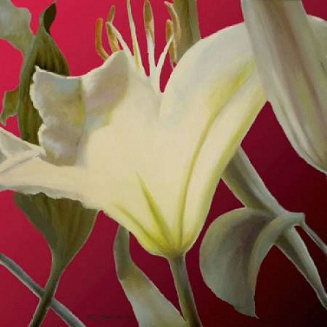 Posterazzi Lily Red Canvas Art - Jan McLaughlin (24 x 24)