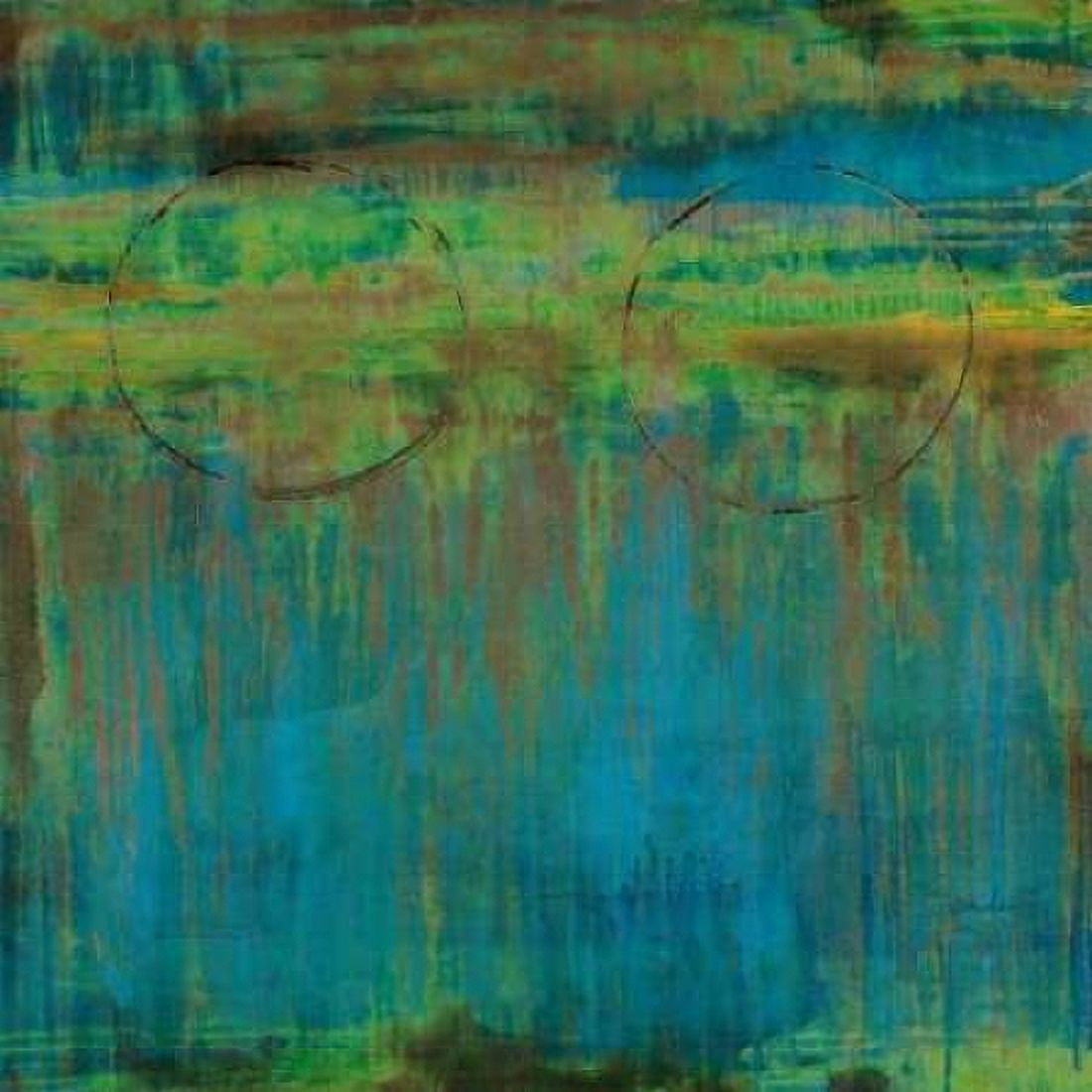Posterazzi Lime Slice II Canvas Art - Liz Jardine (24 x 24)