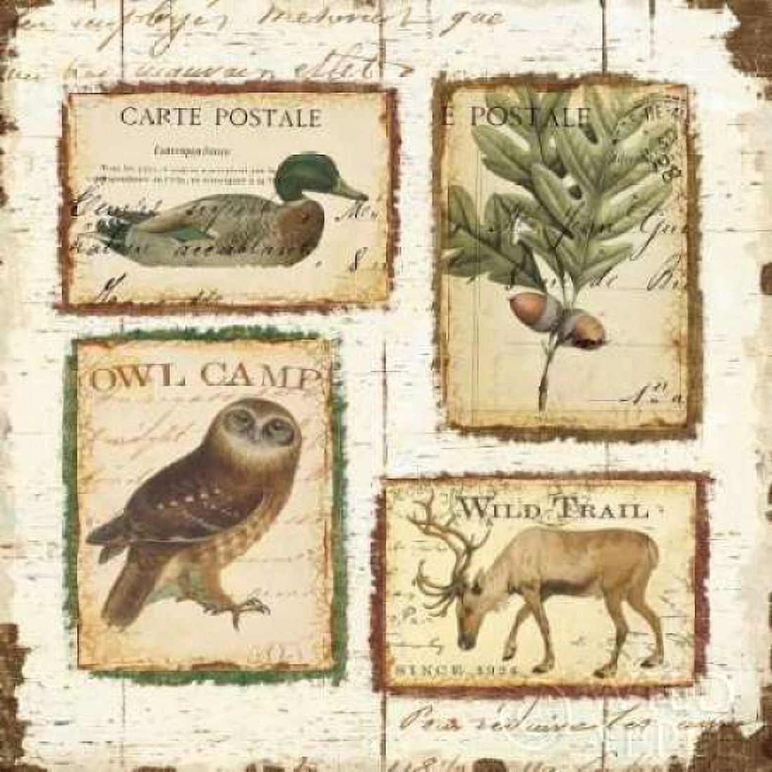 Posterazzi Lodge Memories I Canvas Art - Pela (24 x 24)