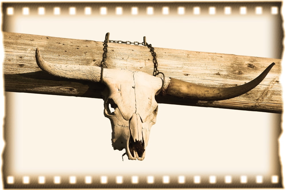 Posterazzi Longhorn Cow Skull Canvas Art - Carson Ganci Design Pics (34 x 22)