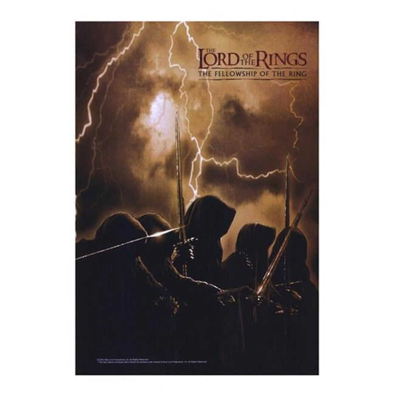 Posterazzi Lord of the Rings Fellowship of the Ring Movie Poster - 11 x ...