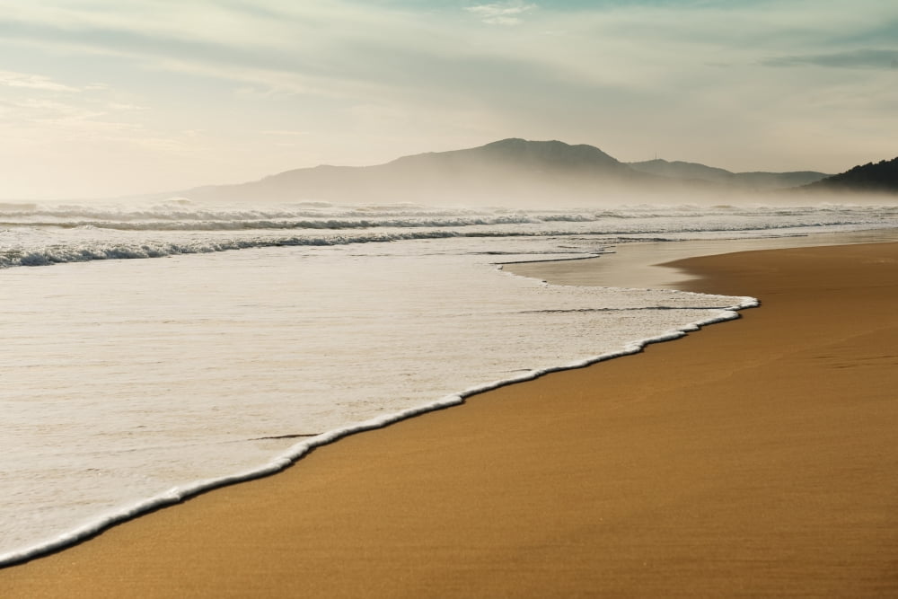 Posterazzi Los Lances Beach Along Costa De La Luz Tarifa Cadiz Andalusia Spain Canvas Art - Ben Welsh Design Pics (38 x 24)