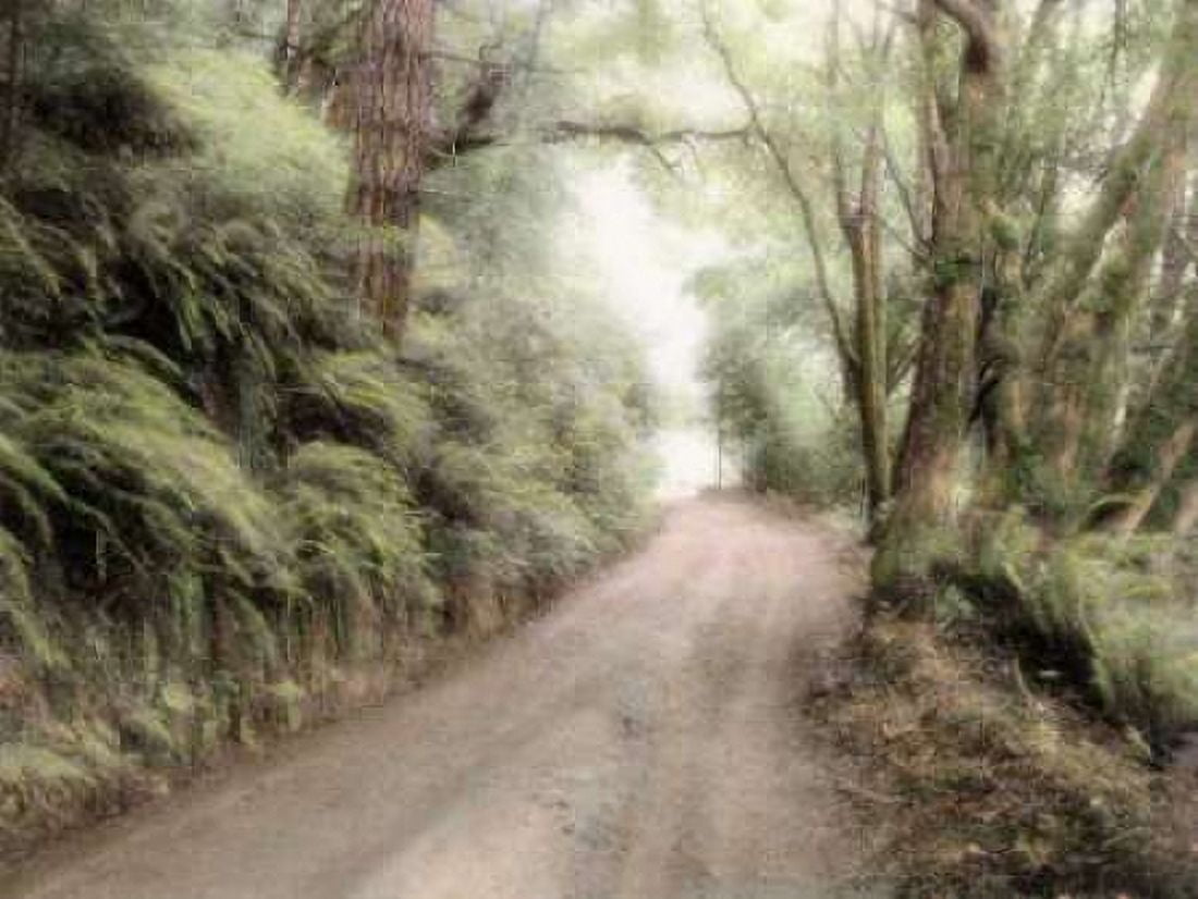 Posterazzi Lost Coast Road Canvas Art - Laura Culver (18 x 24)