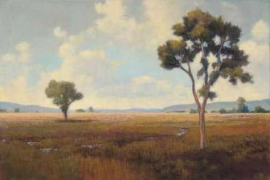 Posterazzi Lost River II Canvas Art - Allan Stephenson (24 x 36)