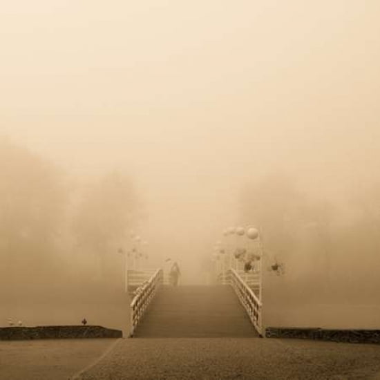 Posterazzi Lost in Fog Canvas Art - Joanna Pechmann (24 x 24)