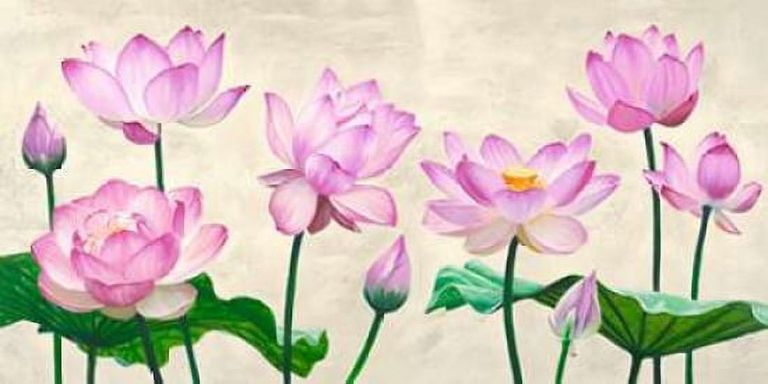 Posterazzi Lotus flowers Canvas Art - Shin Mills (10 x 20)