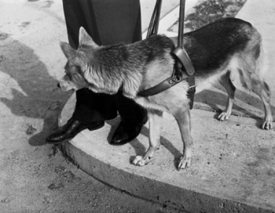 Posterazzi Low section view of a person with a dog Canvas Art -  (24 x 36)
