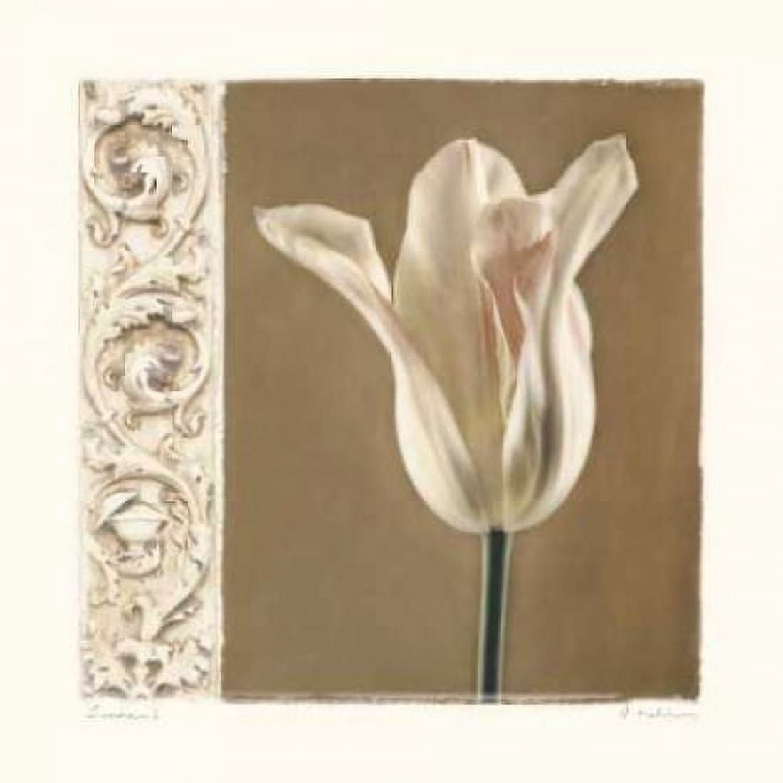 Posterazzi Lumiere I Canvas Art - Amy Melious (24 x 24)