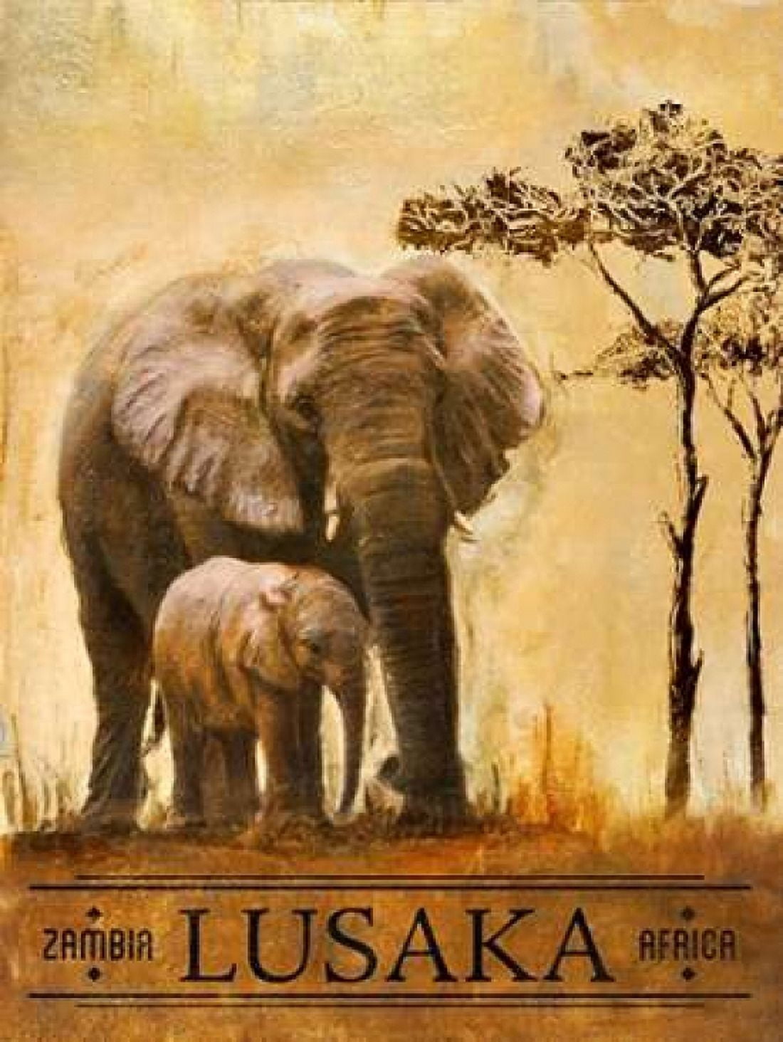 Posterazzi Lusaka Canvas Art - Patricia Pinto (18 x 24)