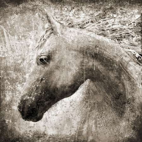 Posterazzi MAJESTIC HORSE Canvas Art - Eric Yang (24 x 24)