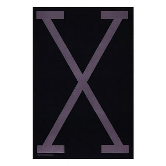 Posterazzi MOV196778 Malcolm x Movie Poster - 11 x 17 in.