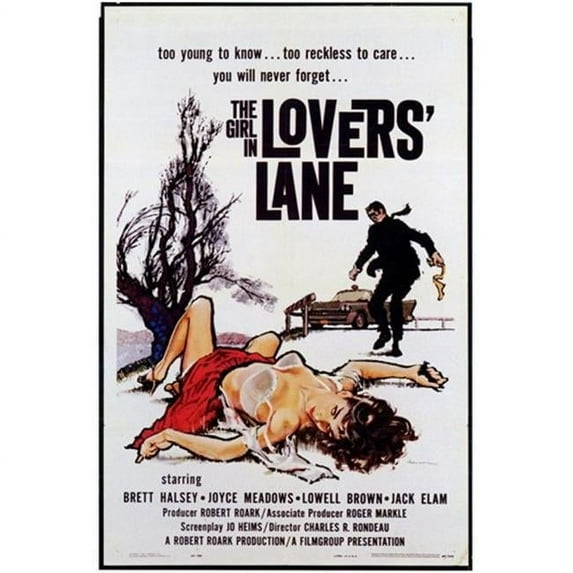 Posterazzi MOV197300 The Girl in Lovers Lane Movie Poster - 11 x 17 in.
