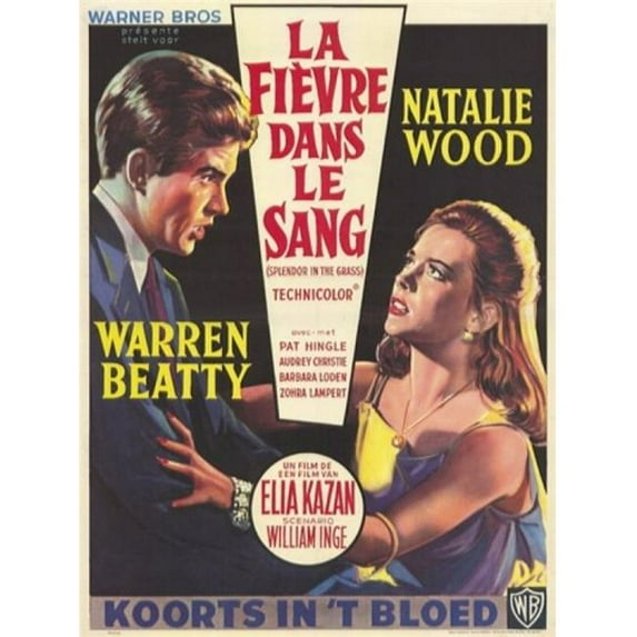 Posterazzi MOV208608 Splendor in the Grass Movie Poster - 11 x 17 in.