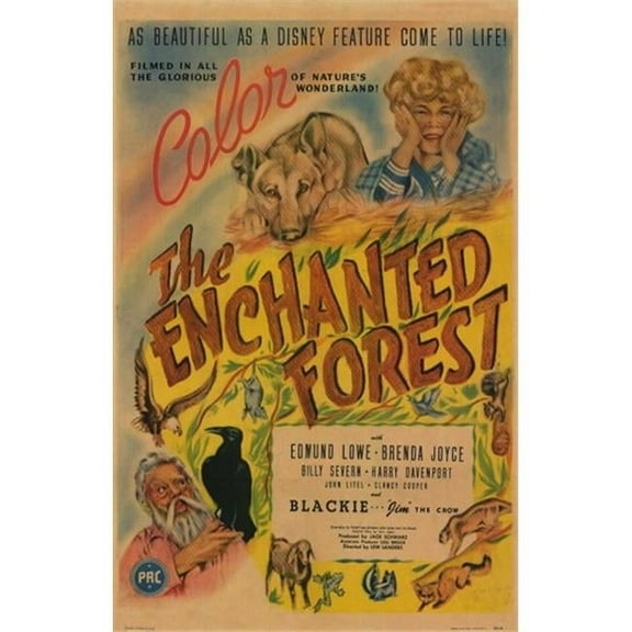 Posterazzi MOV209889 The Enchanted Forest Movie Poster - 11 x 17 in.