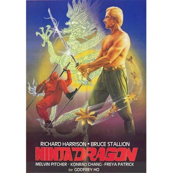 Posterazzi MOV227964 Ninja Dragon Movie Poster - 11 x 17 in.