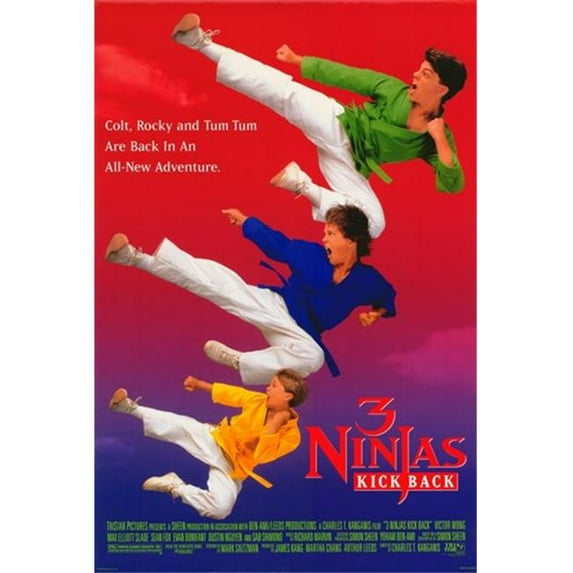 Posterazzi MOV233453 3 Ninjas Kick Back Movie Poster - 11 x 17 in.