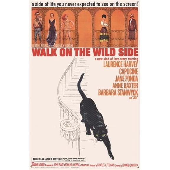 Posterazzi MOV249522 Walk on the Wild Side Movie Poster - 11 x 17 in.