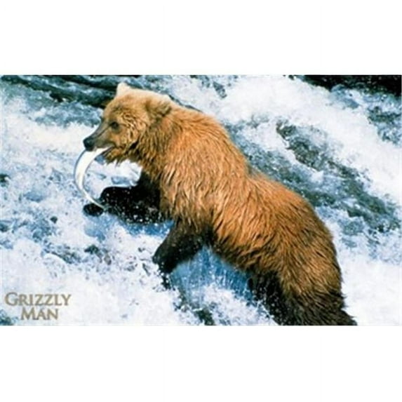 Posterazzi MOV282482 Grizzly Man Movie Poster - 17 x 11 in.